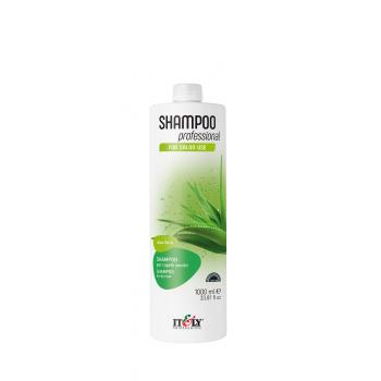 Shampoo Professional Aloe Vera